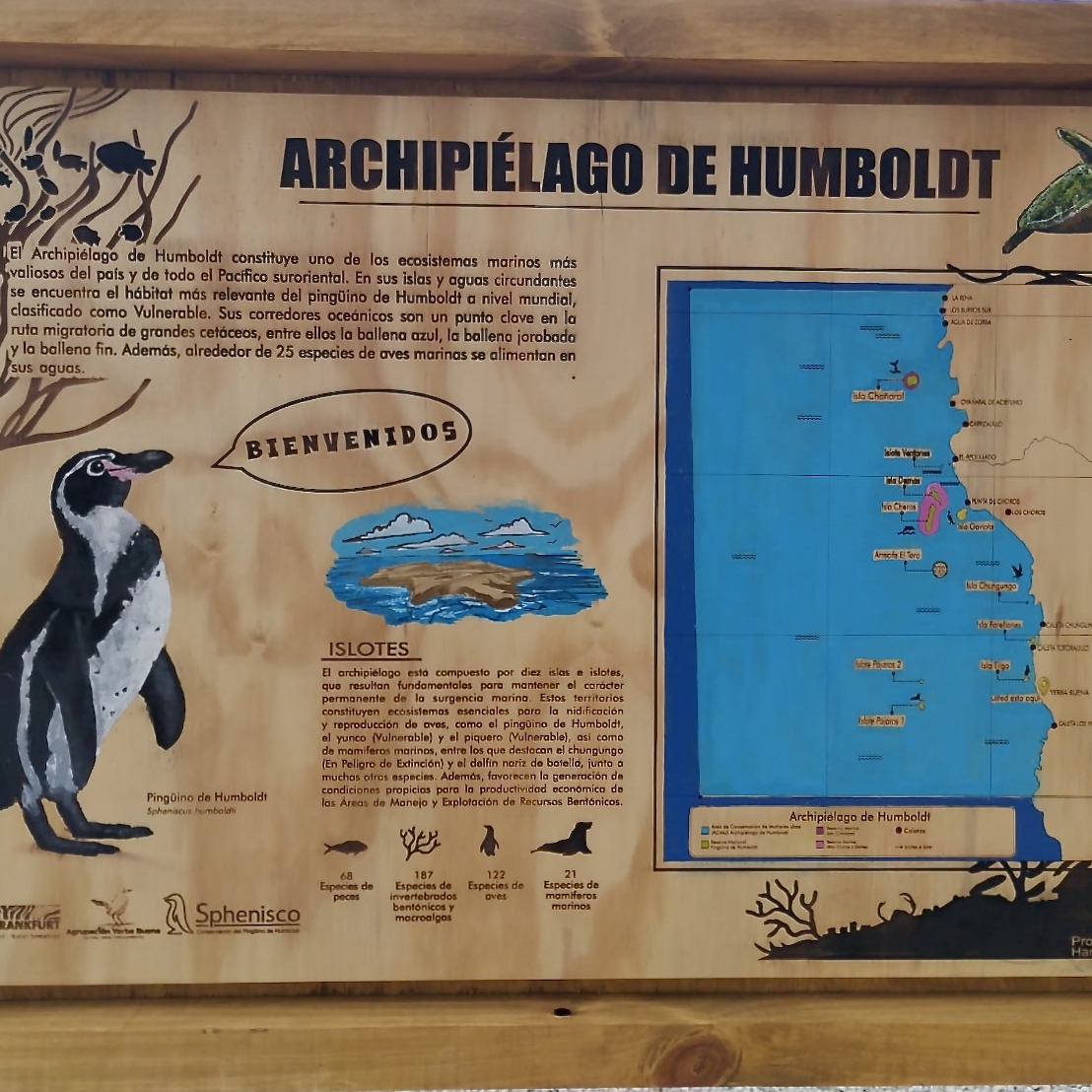 3a_Tafel Humboldt Archipiel_quad